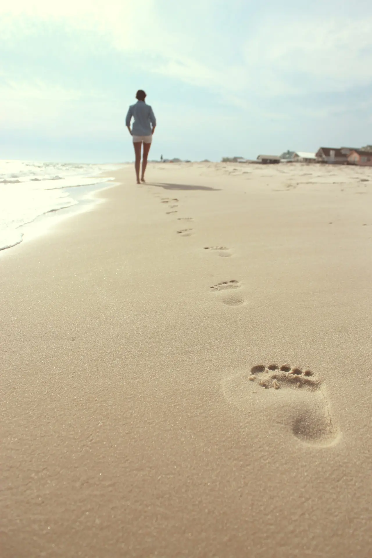 zack-minor-6_pFPo2YM9c-unsplash