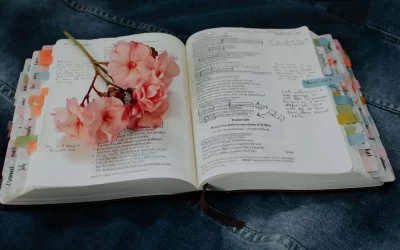 Women's Ministry Bible